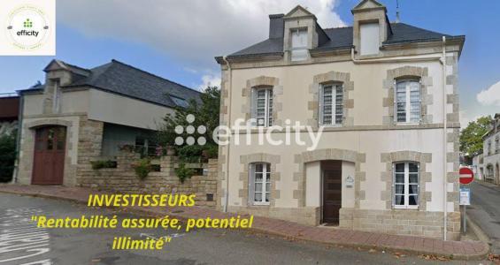 photo For sale House BAUD 56