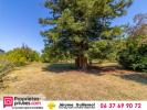Annonce Vente Terrain Chabris