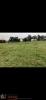 Annonce Vente Terrain Villettes