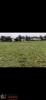 Acheter Terrain 1300 m2 Villettes
