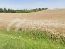Annonce Vente Maison Rebigue