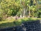 Vente Terrain Sainte-marie 974