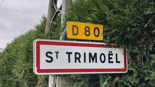 photo For sale Land SAINT-TRIMOEL 22