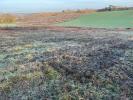 Acheter Terrain 2369 m2 Gimont