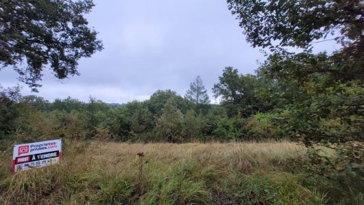 photo For sale Land NOAILLES 19