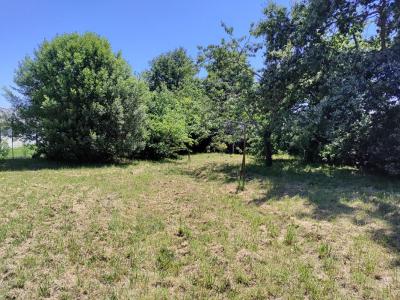 photo For sale Land SAINT-ANDRE-DES-EAUX 44