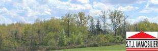 Acheter Terrain 2961 m2 Saint-junien
