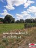 Vente Terrain Saint-junien 87