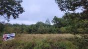 For sale Land Noailles  19600 1530 m2