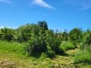 Land BRUGUIERE 