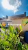 House EDERN 