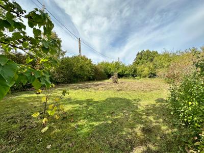 photo For sale Land SOUPPES-SUR-LOING 77