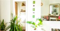 Annonce Location 2 pièces Appartement Paris-18eme-arrondissement