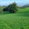 House SAINT-PERAY 