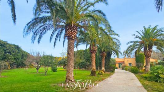 photo For sale House SAINT-CYPRIEN 66