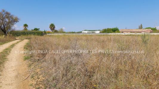 photo For sale Land PEZENAS 34