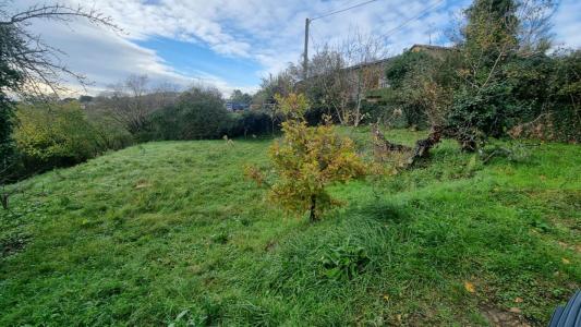 Vente Maison 5 pièces MORANCE 69480