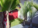 Louer Maison Saint-gilles-les-bains 3000 euros