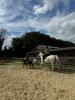 Annonce Vente 3 pièces Maison Conches-sur-gondoire