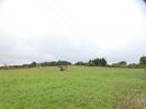 For sale Land Rouffignac-saint-cernin-de-reilh 24580 10230 m2