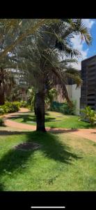 Vente Appartement 4 pièces SAINT-PIERRE 97410
