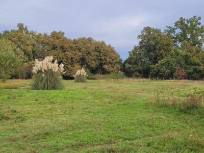 photo For sale Land SAINT-ANDRE-DE-CUBZAC 33
