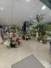 Annonce Location Local commercial Saint-andre-de-cubzac