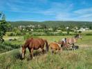 Agricultural domain UZES 