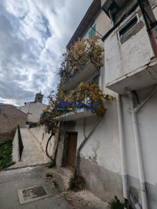 photo For sale House OLETTE 66
