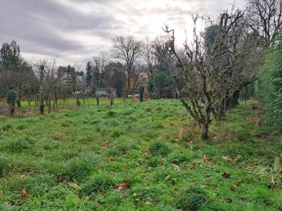 photo For sale Land QUILY 56