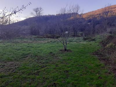 photo For sale Land SOUGRAIGNE 11