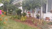 For sale House Tampon 97430 77 m2 4 rooms