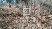Annonce Vente Domaine forestier Saint-martin