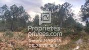 Acheter Domaine forestier 7803 m2 Saint-martin