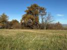 For sale Land Thodure  38260 385 m2