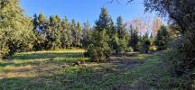 Acheter Terrain 299 m2 Maussane-les-alpilles