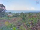 Vente Terrain Saint-philippe 974