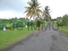 House MORNE-A-L'EAU 