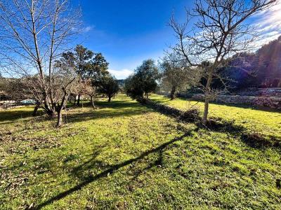 photo For sale Land CORRENS 83