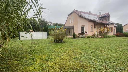 Viager Maison ORGELET  39