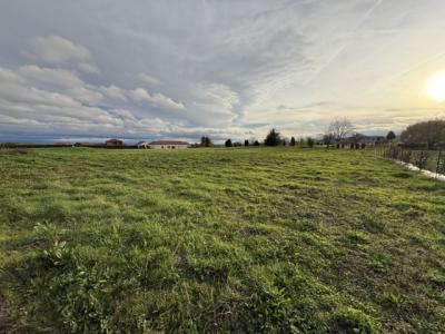 photo For sale Land ARTONNE 63