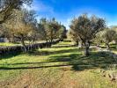 Land CORRENS 
