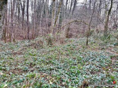 For sale Land TAINTRUX  88
