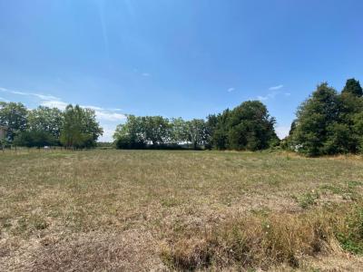 photo For sale Land REVEL 31