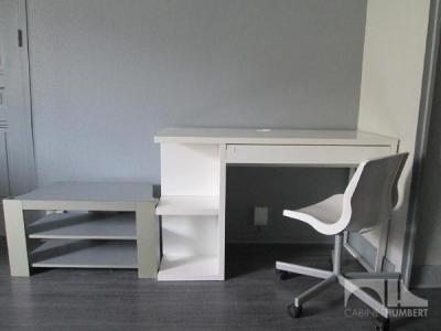 Location Appartement SAINT-ETIENNE 