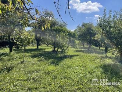 photo For sale Land AIGUEPERSE 63