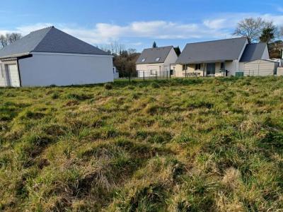 Vente Terrain BUBRY 56310