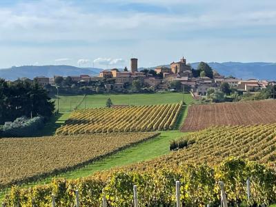 For sale Land OINGT  69