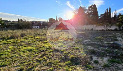 photo For sale Land PALME 11