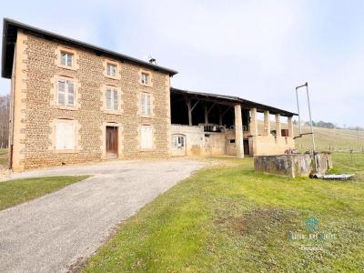 Vente Maison 7 pièces MONTFALCON 38940
